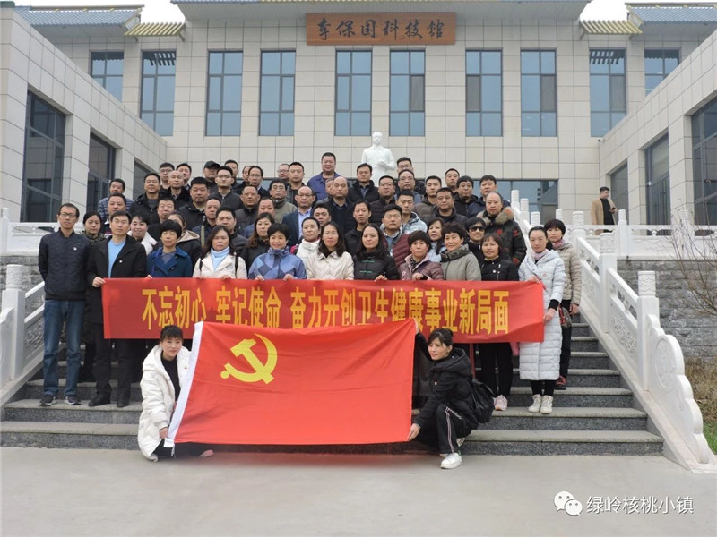 今年11月份绿岭核桃小镇迎来主题教育又一高峰期